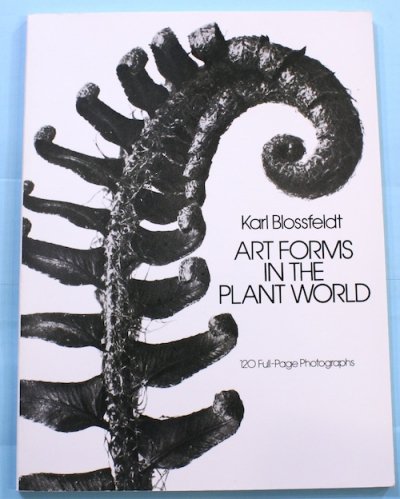 ART FORMS IN THE PLANT WORLD KARL BLOSSFELDT カール・ブロス