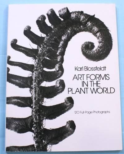 ART FORMS IN THE PLANT WORLDKARL BLOSSFELDT롦֥ե