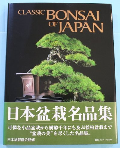 日本盆栽名品集 Classic bonsai of Japan 新装版 - 東京 下北沢 