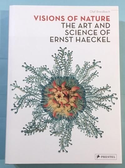 VISIONS OF NATURE  THE ART AND SCIENCE OF ERNST HAECKEL󥹥ȡإå