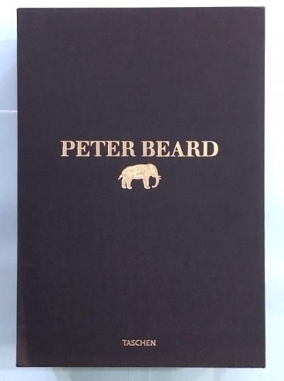 PETER BEARD2·ԡ٥