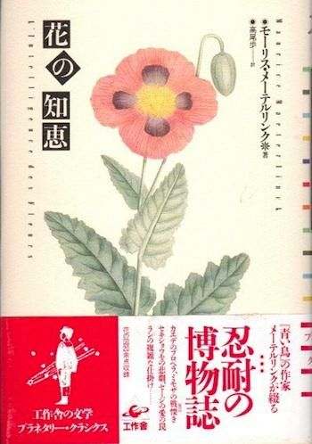 花の知恵 モーリス メーテルリンク 東京 下北沢 クラリスブックス 古本の買取 販売 哲学思想 文学 アート ファッション 写真 サブカルチャー 花の知恵 モーリス メーテルリンク 東京 下北沢 クラリスブックス 古本の買取 販売 哲学思想 文学 アート ファッション 写真 サブカルチャー