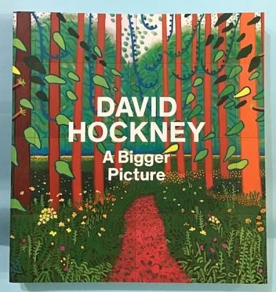 DAVID HOCKNEY A Bigger Pictureǥåɡۥåˡ