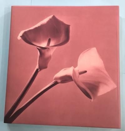 MAPPLETHORPE PISTILSСȡᥤץ륽