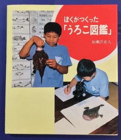 入手困難⭐︎1912年初版 アンティーク絵本 古書 ❤️セール730C②チェコビンテージ絵本 洋書古書 ボタンニカル