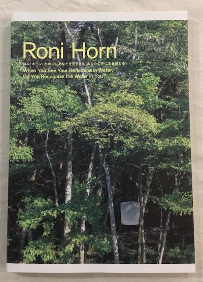 ロニ・ホーン :Roni Horn  水の中にあなたを見るとき、あなたの中に水を感じる?