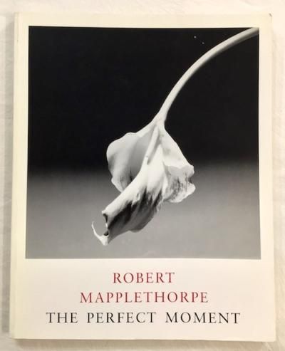 THE PERFECT MOMENT ROBERT MAPPLETHORPE ロバート・メイプル
