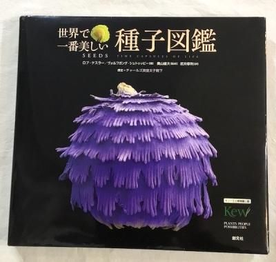 ǰҿ޴ : 塼Ωʪǧ