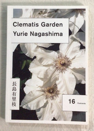 ޥǥ Clematis garden : ݥȥɥ֥å16硡ĹͭΤ
