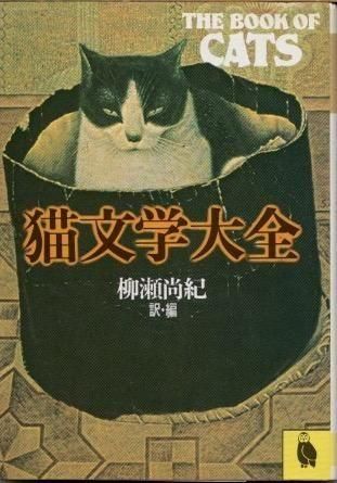 ǭʸ/Ͻʸ