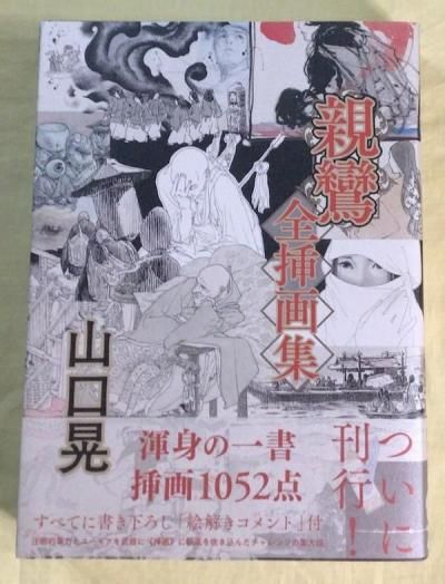 山口晃 親鸞 全挿画集｜青幻舎 SEIGENSHA Art Publishing, Inc.