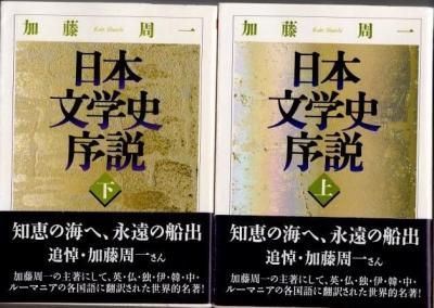 ʸػ˽⡡岼2ƣ졡޳طʸ