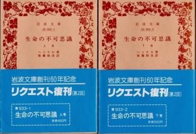 ��̿���ԲĻ׵ġ��岼2�����إå��롡����ʸ��