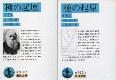 ε󡡾岼2·ʸˡ