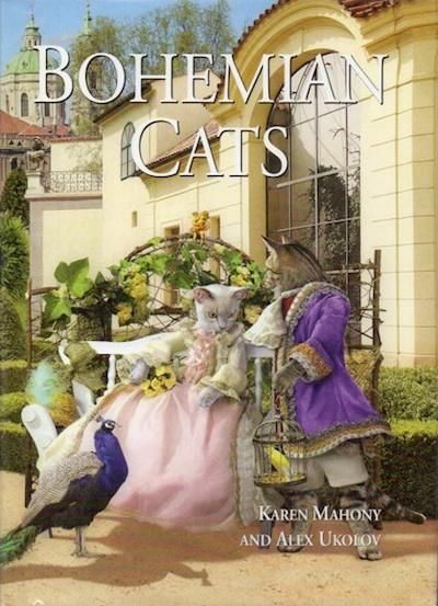 BOHEMIAN CATS