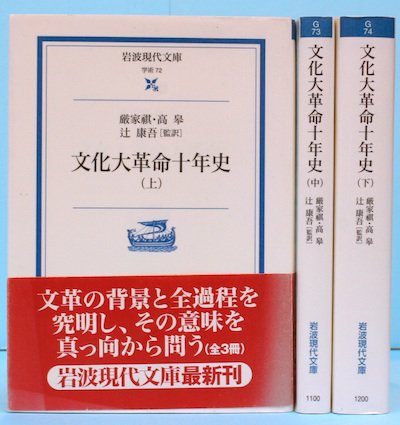 文化大革命十年史 全3冊揃 岩波現代文庫 東京 下北沢 クラリスブックス 古本の買取 販売 哲学思想 文学 アート ファッション 写真 サブカルチャー