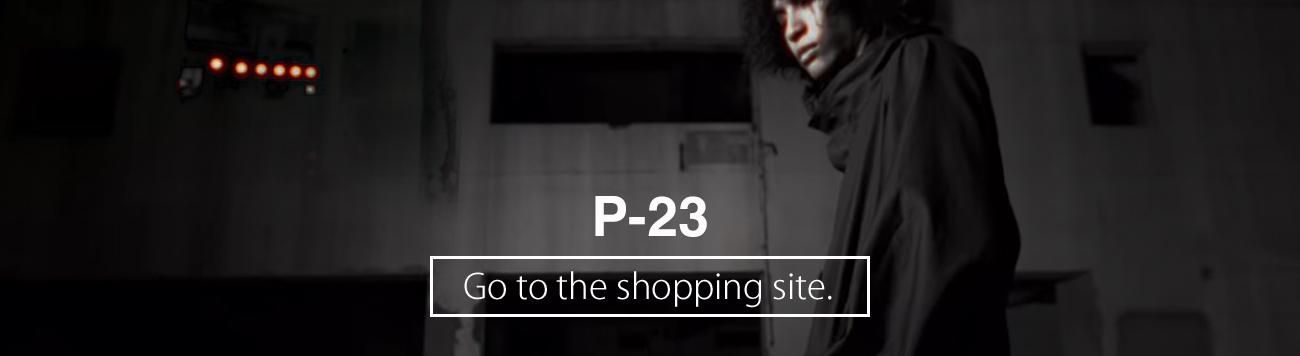 NEWS P-23 Хʡ