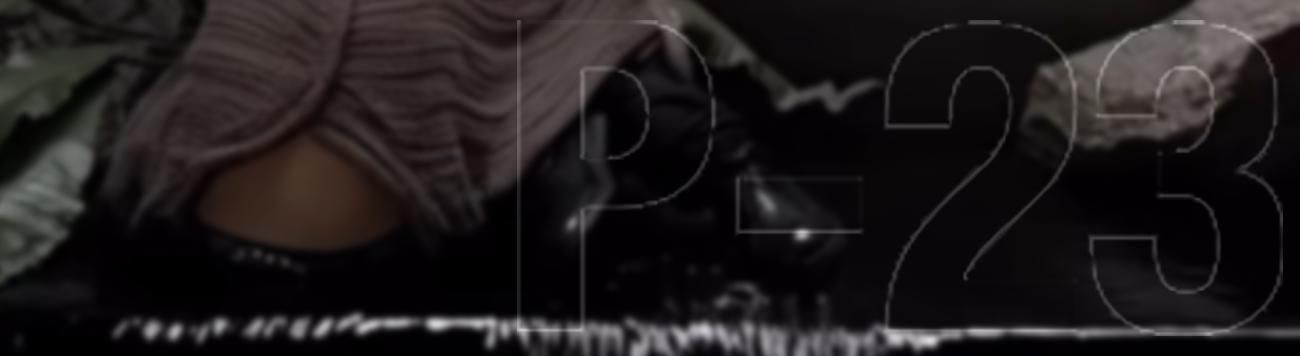 P-23