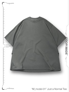 <strong>GOOPiMADE</strong>M_model-01 Just a Normal Tee<br>GRAY