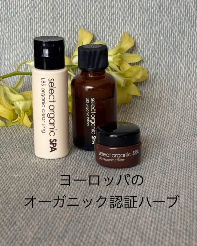 <img class='new_mark_img1' src='https://img.shop-pro.jp/img/new/icons58.gif' style='border:none;display:inline;margin:0px;padding:0px;width:auto;' />�ڥ������˥å����ѡ������󥱥�������åȡ�[Organic Spa Skincare Trial Set]