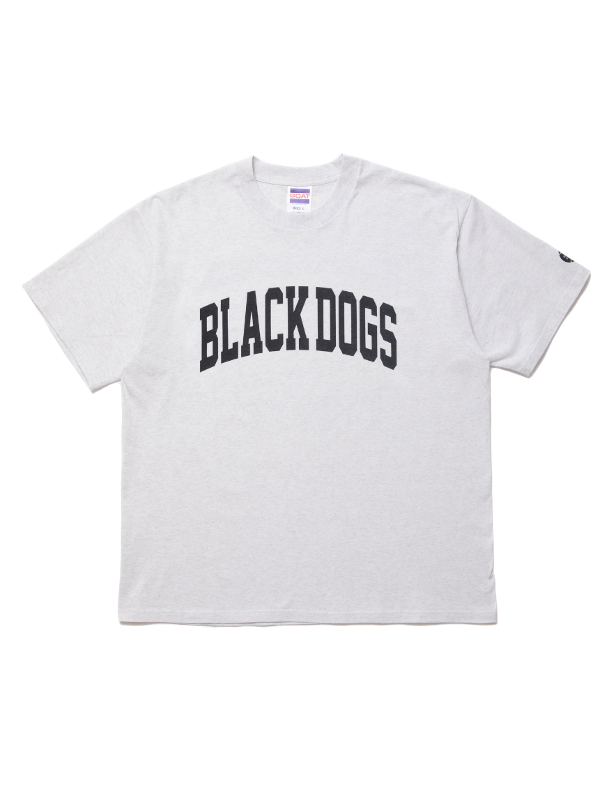 <img class='new_mark_img1' src='https://img.shop-pro.jp/img/new/icons50.gif' style='border:none;display:inline;margin:0px;padding:0px;width:auto;' />ROTTWEILER - BIG COLLEGE TEE (GRAY)